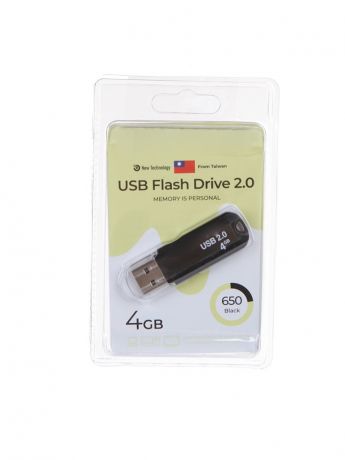 USB Flash Drive 4Gb - Exployd 650 EX-4GB-650-Black