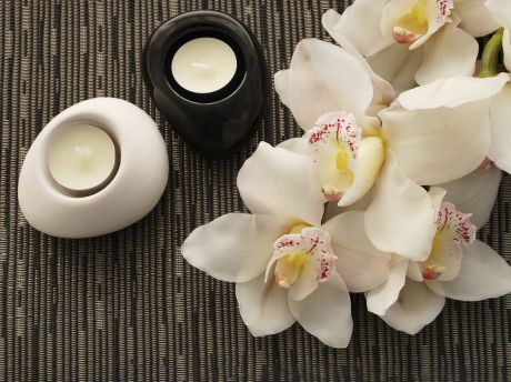 Картина на холсте «Белые орхидеи» 40x50 см
