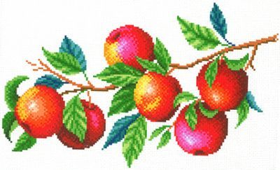 Основа для вышивания с нанесённым рисунком МП Студия СК-106 Урожай яблок (МП Студия)
