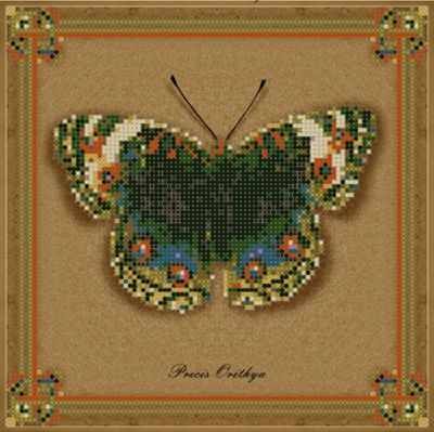 Основа для вышивания с нанесённым рисунком Художественные мастерские бис-017арт коллекция бабочек - Precis Orithya - схема