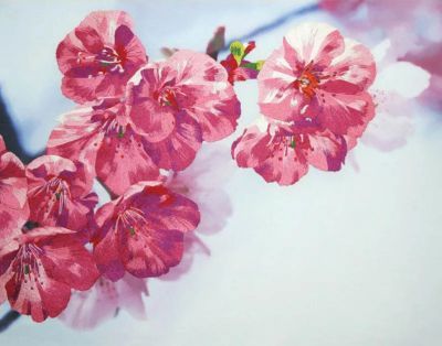 Набор для вышивания Рисуем иглой N0012 Краски весны (РисИгл)