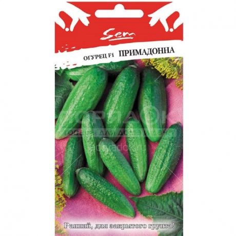 Семена Огурец Примадонна F1, 0.01 г, в цветной упаковке Русский огород