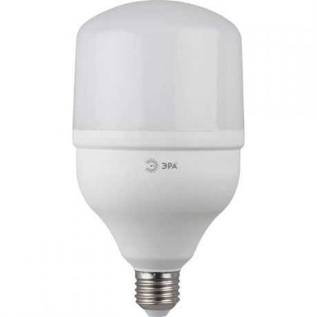 Лампа ЭРА светодиодная E27 40W 6500K матовая T120-40W-6500-E27 Б0047644