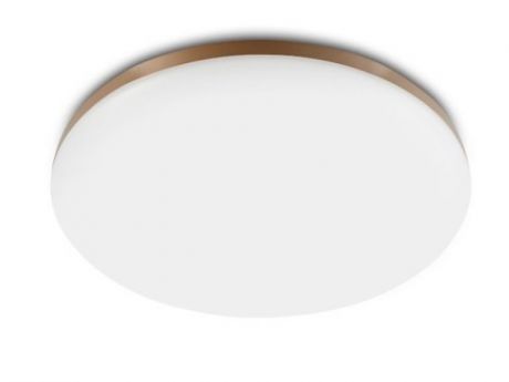 Светильник Xiaomi Yeelight LED Ceiling Lamp YLXD50YL White