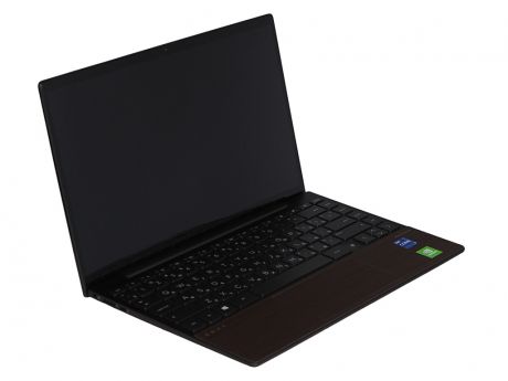 Ноутбук HP Envy 13-ba1000ur 2X1M7EA (Intel Core i7-1165G7 2.8GHz/16384Mb/1Tb SSD/nVidia GeForce MX450 2048Mb/Wi-Fi/Cam/13.3/1920x1080/Windows 10 64-bit)