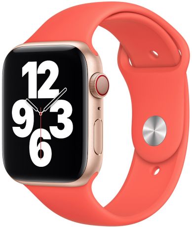 Ремешок Apple Sport Band Regular для Apple Watch 40мм (розовый цитрус)