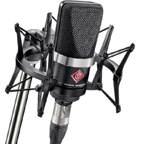 Студийный микрофон Neumann TLM 102 bk studio set