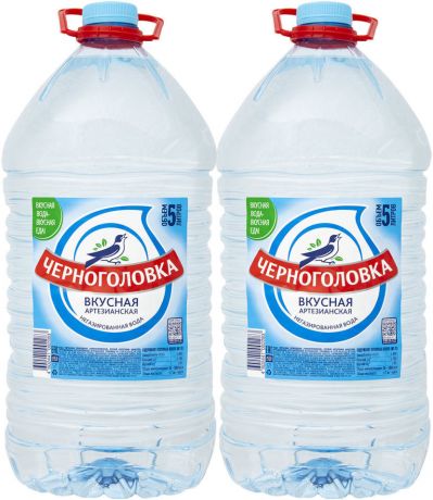 Вода Черноголовка Вкусная питьевая негазированная 5л (упаковка 2 шт.)
