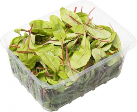 Салат Мангольд зеленый 125г упаковка
