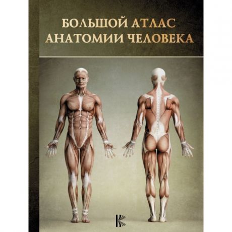 Атласы и карты Издательство АСТ Большой атлас анатомии человека