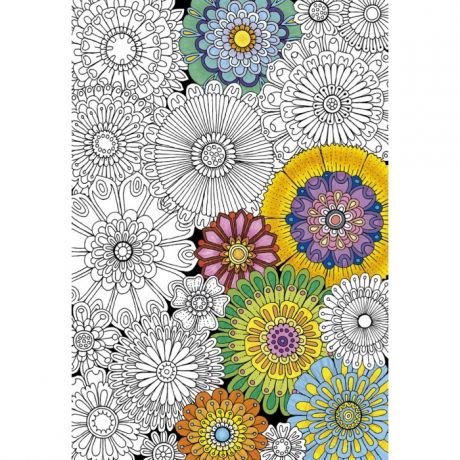 Пазлы Educa Пазл-раскраска Цветы (300 деталей)