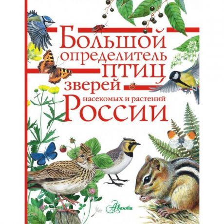 Обучающие книги Издательство АСТ Большой определитель птиц, зверей, насекомых и растений России