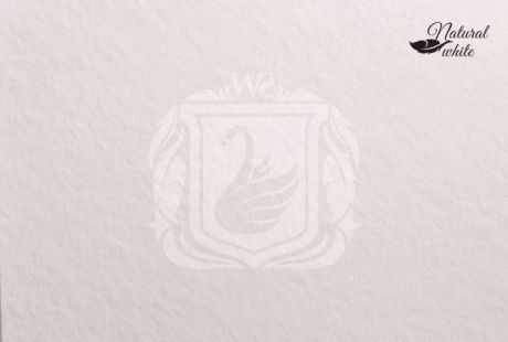 Принадлежности для рисования Малевичъ Бумага для акварели White Swan Torchon Natural white 50х70 см 10 л