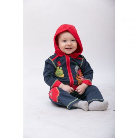Комплекты детской одежды Sunbaby Комплект для мальчика (толстовка и штаны) 103-0004