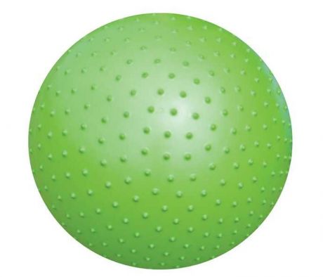 Мячи Atemi Мяч гимнастический массажный AGB0255 55 см