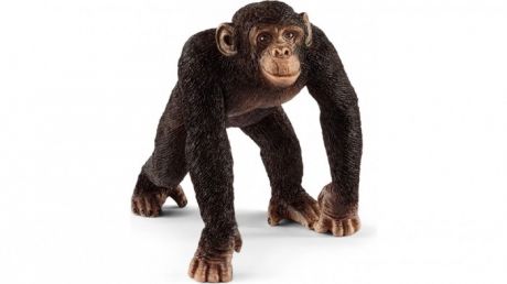 Игровые фигурки Schleich Игровая фигурка самец Шимпанзе