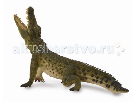 Игровые фигурки Collecta Фигурка Нильский крокодил 17 см
