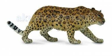Игровые фигурки Collecta Фигурка Амурский леопард XL