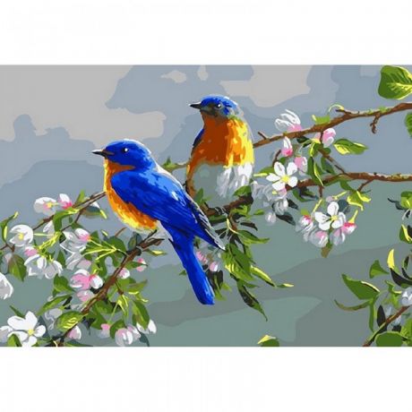 Картины по номерам Molly Картина по номерам Весенние птицы 20х30 см