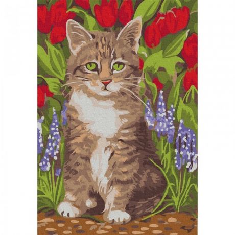 Картины по номерам Molly Картина по номерам Котёнок в саду 20х30 см