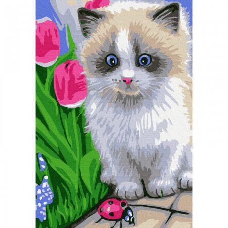 Картины по номерам Molly Картина по номерам Маленький котенок 20х30 см