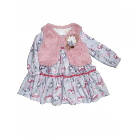 Комплекты детской одежды Baby Rose Комплект для девочки (жилет, платье) 3280