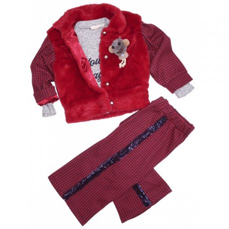 Комплекты детской одежды Baby Rose Комплект для девочки (жакет, лонгслив, брюки) 3254