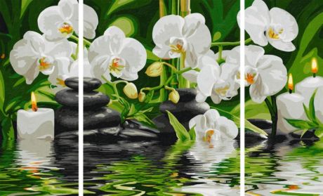 Картины по номерам Schipper Картина по номерам Триптих Цветы Wellness-Oase 50х80 см