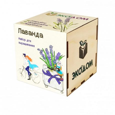 Наборы для выращивания Kawaii Factory Подарочный набор для выращивания в кубике ЭкоДом Лаванда