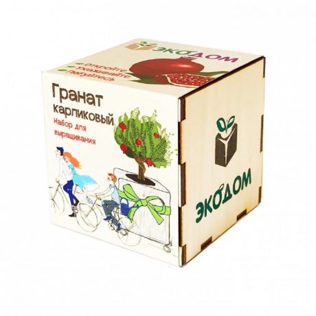Наборы для выращивания Kawaii Factory Подарочный набор для выращивания в кубике ЭкоДом Гранат карликовый