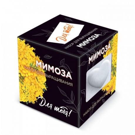 Наборы для выращивания Kawaii Factory Подарочный набор для выращивания в дизайнерском кубике ручной работы Для тебя! Мимоза