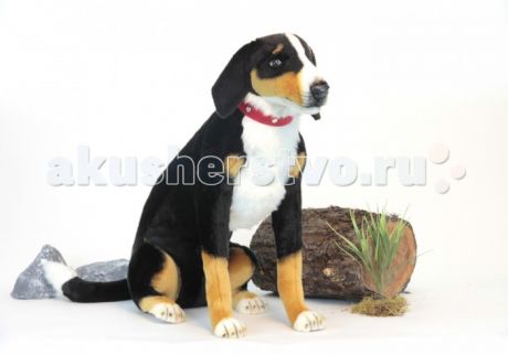 Мягкие игрушки Hansa Собака Аппенцеллер сидящий 66 см