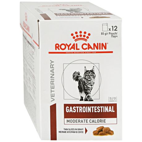 Интестинал корм для кошек влажный. Влажный корм для кошек Royal Canin Veterinary Gastrointestinal. Royal Canin Gastrointestinal moderate Calorie для кошек. Gastro intestinal moderate Calorie для кошек Royal. Royal Canin moderate Calorie для кошек.