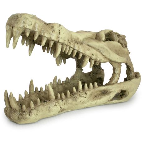 Декорация для террариума Lucky Reptile череп Skull Krokodil 25x11.2x15.2 см