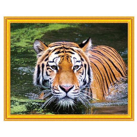Набор для творчества Mazari Картина 2 в 1 Тигр в воде алмазная мозаика и раскрашивание по номерам 40х50 см