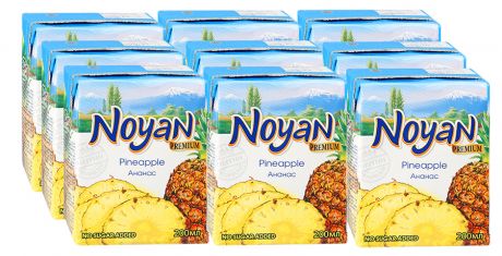 Сок Noyan Premium Ананасовый 9 штук по 0.2 л