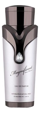 Magnificent Pour Homme: дезодорант 200мл
