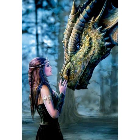 Educa 17099 Пазл 1000 деталей "Девушка и дракон"