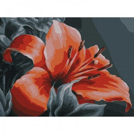 Картины по номерам Molly Картина по номерам Оранжевая лилия 30х40 см