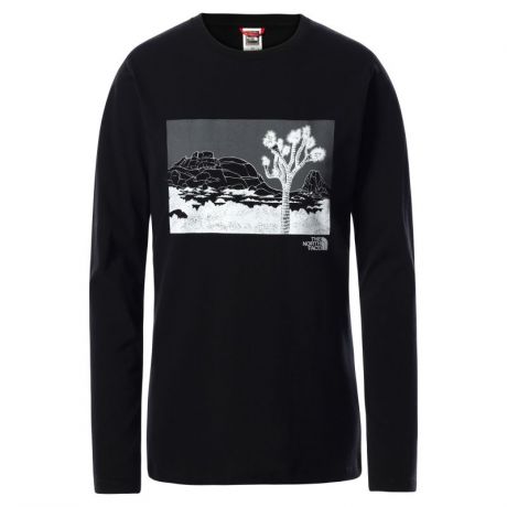 Футболка The North Face The North Face Graphic Long Sleeve женская
