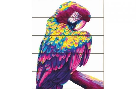 Картины по номерам Фламинго Рисование по номерам по дереву Попугай поп-арт 50x40 см
