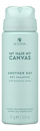 Сухой шампунь для волос My Hair My Canvas Another Day Vegan Dry Shampoo: Шампунь 57мл