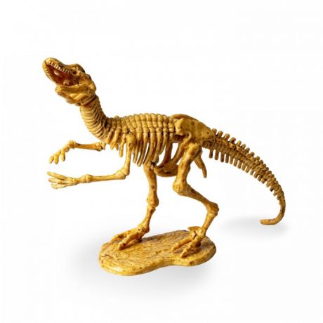 Наборы для опытов и экспериментов Bondibon Набор палеонтолога Динозавр Велоцираптор 3D скелет