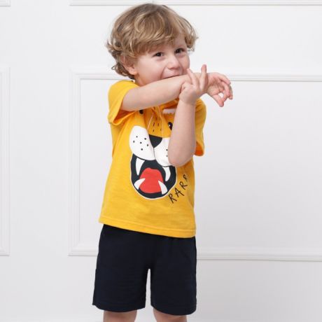 Комплекты детской одежды Babycollection Костюм для мальчика Тигр