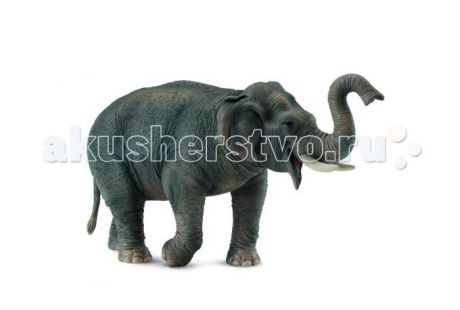 Игровые фигурки Collecta Фигурка Азиатский слон 15 см