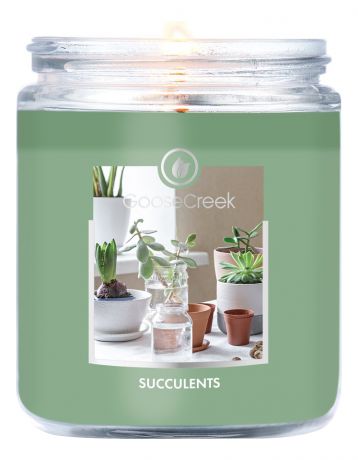 Ароматическая свеча Succulents (Суккуленты): свеча 198г