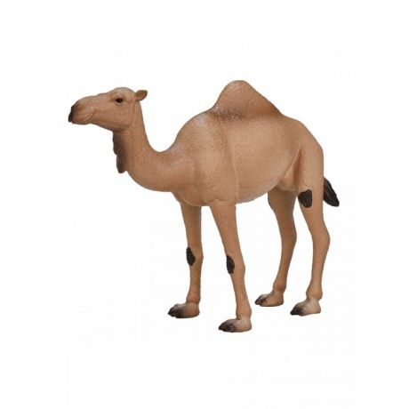 Игровые фигурки Mojo Фигурка Animal Planet Одногорбый верблюд XL