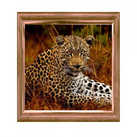 Картины своими руками Рыжий кот Алмазная мозаика Леопард на отдыхе в траве 30х30 см