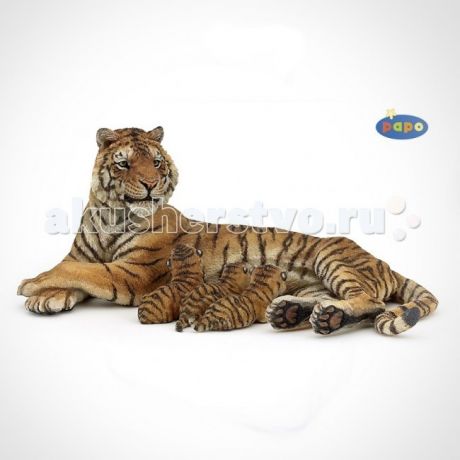 Игровые фигурки Papo Игровая реалистичная фигурка Тигрица лежащая с тигрятами