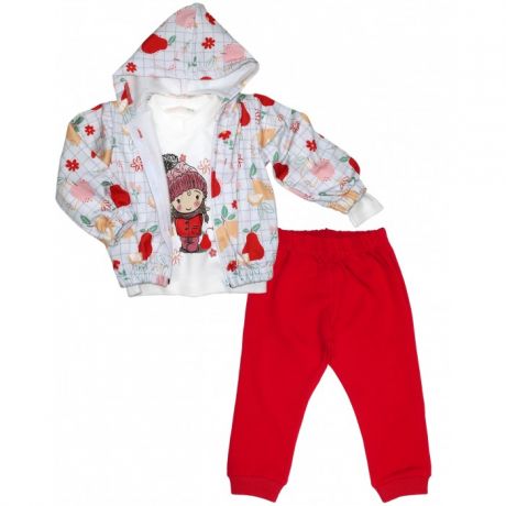 Комплекты детской одежды Baby Rose Комплект для девочки 7683